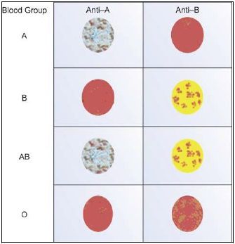 Cell grouping by slide method