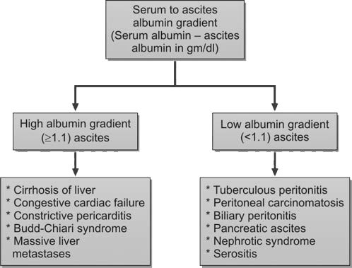 Classification of ascites into high and low albumin gradient