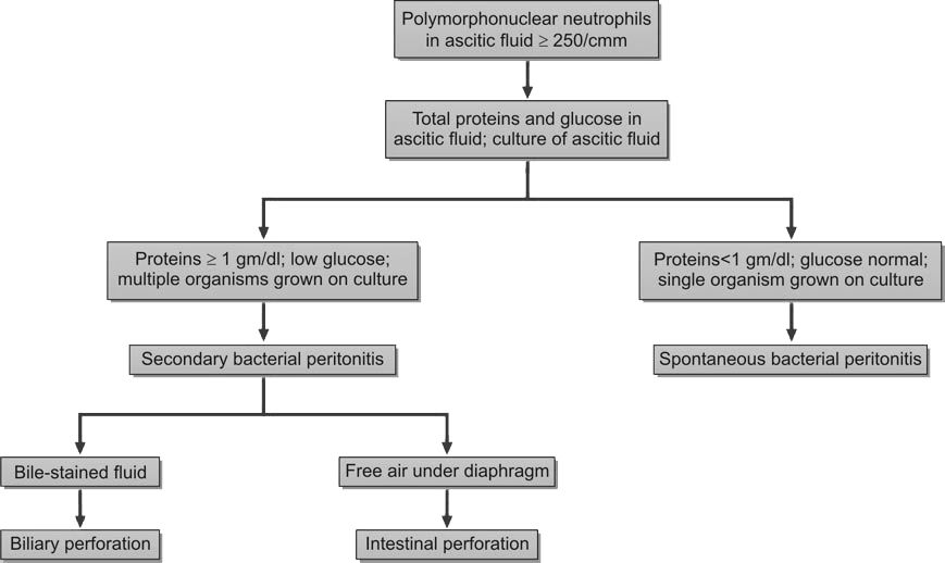 Differentiation of spontaneous from secondary bacterial peritonitis