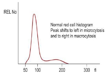 Figure 808.1 Diagrammatic representation of red cell histogram obtained by aperture impedance